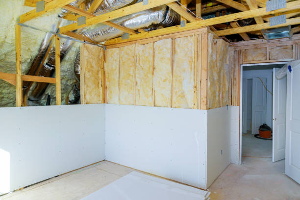 Best Attic Insulation Installation  in Woodville, OH