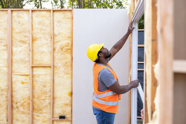 Best Insulation Removal  in Woodville, OH