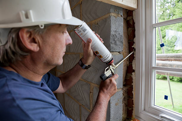 Best Local Insulation Services  in Woodville, OH