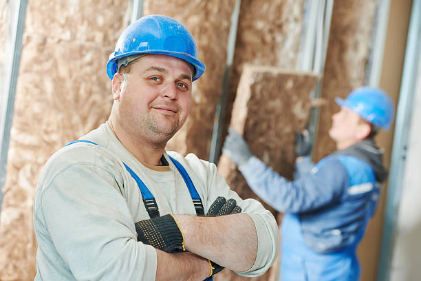 Best Energy-efficient Insulation  in Woodville, OH